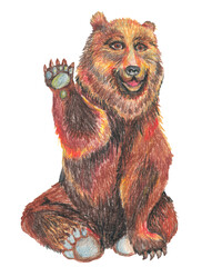 
Brown bear drawing with crayons on white paper