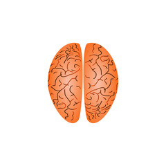 Left and right hemisphere