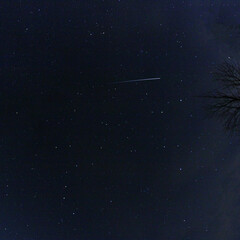 Leonids meteorite 2020, streaking across a background of stars. Dark blue night sky in NE sky, at...