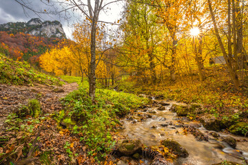 Mountain valley landscape with stream in autumn. The Vratna valley in Mala Fatra national park, Slovakia, Europe.