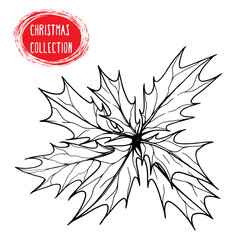 Sketch of a Christmas plant holly. Black and white transparent illustration made by hand on a white background. Suitable for New Year and holiday decor.