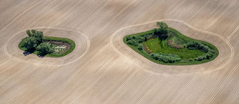 Luftbild zweier Grüninseln auf einem sehr großen, landwirtschaftlich genutztem Feld