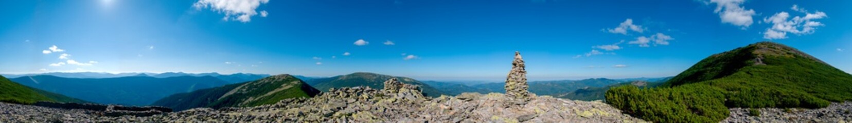 beautiful panorama with alpine pine and mountains under blue sky