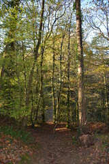 Saint-Herblain - Parc de la Chézine