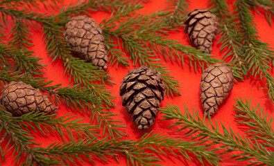 Festive red background with spruce branches and cones for Christmas and New Year decoration