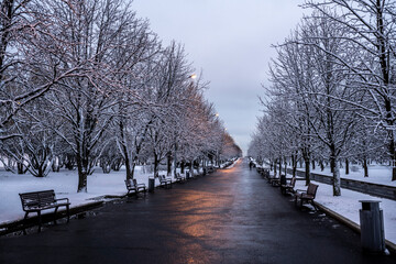 winter landscape in a city park after the first snow at the beginning of winter