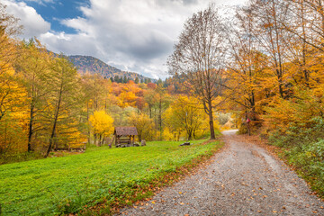 A road through autumn rural landscape with colorful trees.