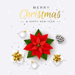 Fototapeta na wymiar Merry Christmas and Happy New Year. Poinsettia Red Flower. Christmas Eve. Christmas Symbol. Holiday Flower Star. Gift boxes, Glitter confetti, Tinsel, Xmas ball, Pinecone