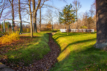 tree, landscape, autumn, nature, park, road, trees, forest, green, grass, sky, path, spring, rural, field, blue, fall, countryside, country, season, summer, outdoors, leaves, yellow, scenic