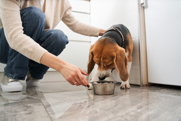 Woman spending time with her dog