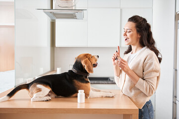 Woman suggesting her dog to eating a vitamin before meals