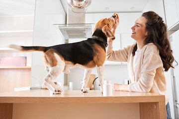 Woman giving a healthy pill to her spotted pet