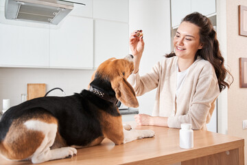 Dog waiting while his owner giving to him biscuit