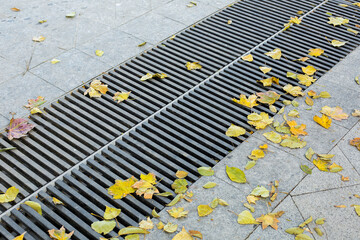 grating of the drainage storm system on the pedestrian park.sidewalk made of gray stone granite tiles and an iron storm cover with autumn yellow leaves on the floor, nobody.