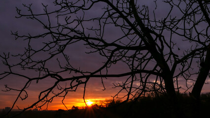 Silhouette of branch of tree at sunrise. Autumn or winter scene with dramatic sky with clouds.