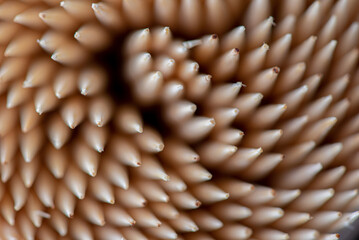 Abstract background from toothpicks photographed close-up.