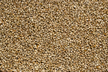 Whole hemp seeds. Surface and background with raw fruits of Cannabis sativa, high in complete protein and a great source of iron. Macro food photo, top view, from above. Backdrop.