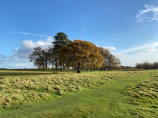 Tatton Park in Cheshire in the Autumn Sunshine