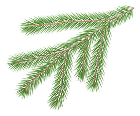 Fir branch. Christmas tree, spruce.  Symbol of Christmas and New Year isolated on white background.