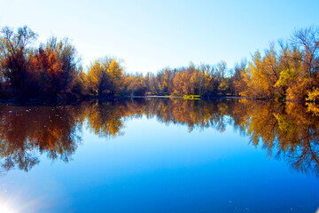 autumn forest reflected in the calm waters of a lake makes a mirror effect