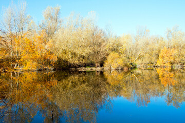autumn forest reflected in the calm waters of a lake makes a mirror effect