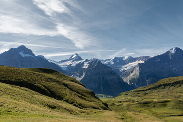 Fototapeta na wymiar Panorama de la Vallée de Grindelwald en été