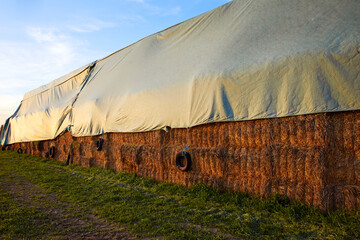 tas de foin recouvert d'une bâche dans un champ en automne en Belgique, près de Namur  © mariesacha