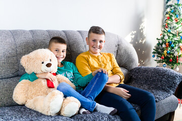 Cute boys, brothers sitting on a sofa in their living room with teddy bear.