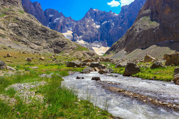 A stream flowing in the mountains and high mountains, landscape, meadows, green nature, sunny day
