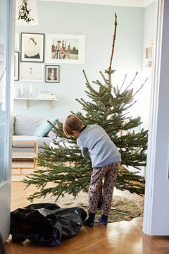 Christmas Tree cleanup, Sweden