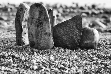  rocks on the coast of the Sea  Black & White - 394449149