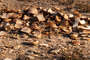 Dry Bread Waste