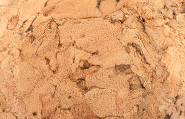 Macro shot of champagne cork surface texture.