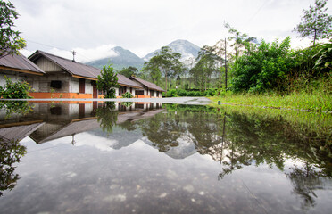 Fototapeta premium Bedakah Tea Plantation, Wonosobo Regency, Indonesia. Bedakah village wonosobo, Dieng wonosobo.