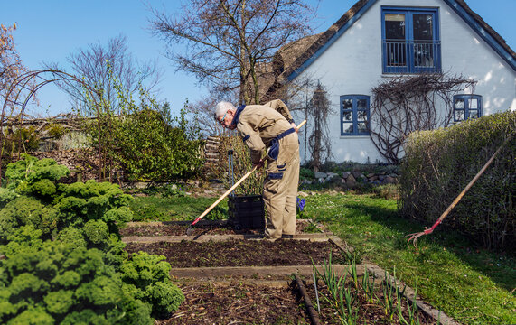 Man gardening, Denmark