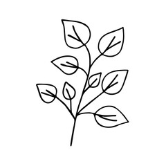 Leaves simple outline vector minimalist concept illustration, thin line hand drawn floral branch, element for invitations, greeting cards, booklet design