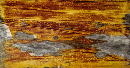 yellow wooden background with peeling old paint and varnish, texture. Old paint peels off the wooden Board