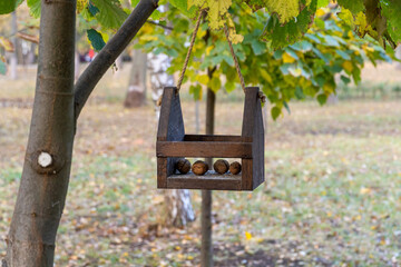 Bird and squirrel feeder hanging on a tree in the park