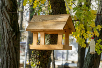 Bird and squirrel feeder hanging on a tree in the park