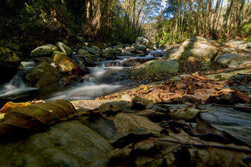 Waterfall green forest river stream landscape