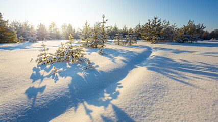 wide snowbound forest glade at the sunset, winter outdoor background © Yuriy Kulik