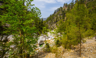 Obraz premium view to a river in a mountain canyon