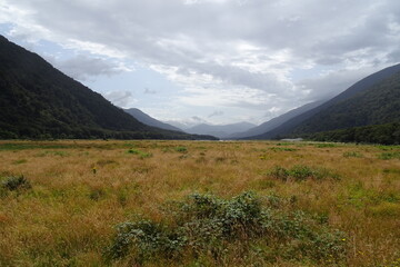 New Zealand.