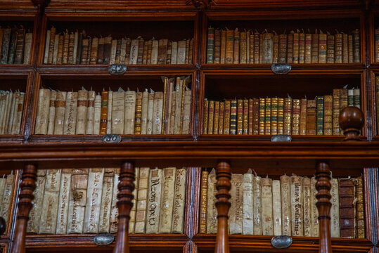 Biblioteca Palafoxiana en la ciudad de Puebla, Mexico, fuente de libros, cultura, historia, retablos, antiguos y muebles de madera clasica de la epoca de la conquista, b&oacute;vedas aniguas