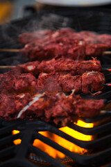 Tandoori chicken on the grill.