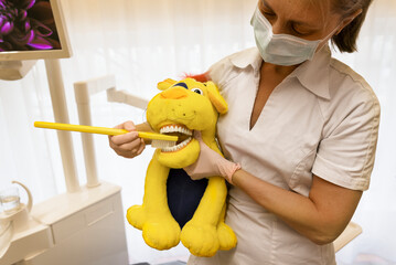 Dentist holding toy with teeth model, Sweden