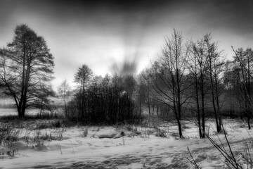 Winter Wonderland in morning light of the sunrise Black & White - 394461925