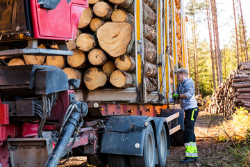 Man securing logs on trailer, Sweden