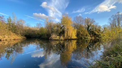 Fototapeta premium Park canal in a beautiful sunny autumn day with trees and cloud reflecting on the calm, still water, scenic nature landscape, beautiful nature, blue sky and water.