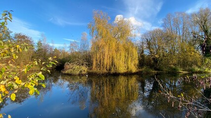 Park canal in a beautiful sunny autumn day with trees and cloud reflecting on the calm, still water, scenic nature landscape, beautiful nature, blue sky and water.